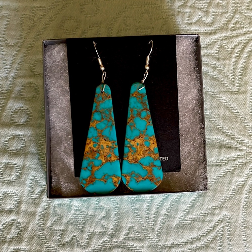 Beautiful turquoise compressed slab earrings.
